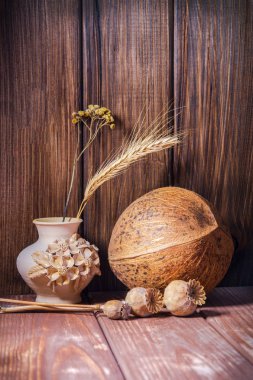 Hindistan cevizi ve koyu ahşap arka plan üzerinde kuru haşhaş kafaları ile bir vazo.