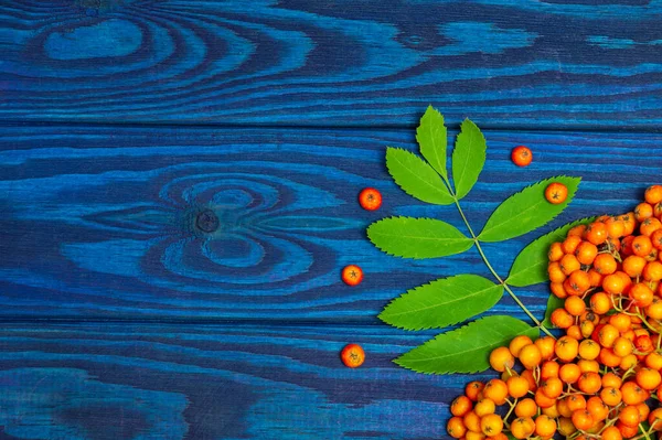 Kırmızı yaban mersini ve yeşil yapraklar mavi tahtalarda yazılı.