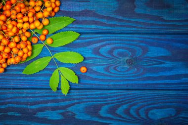 Kırmızı yaban mersini ve yeşil yapraklar mavi tahtalarda yazılı.