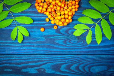 Kırmızı yaban mersini ve yeşil yapraklar mavi tahtalarda yazılı.