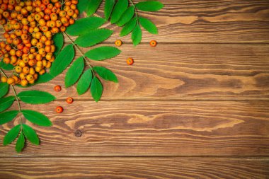 Kahverengi mahsulde kırmızı yaban mersini ve yeşil yapraklar.