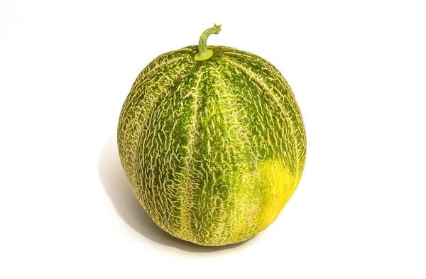 Striped Ripe Melon Harvest Isolated White Background — Stock Photo, Image