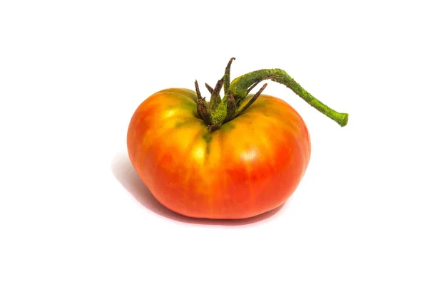 Tomatengroente Oogst Geïsoleerd Witte Achtergrond — Stockfoto