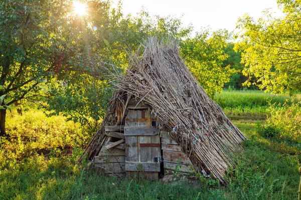 Boswachter Hut Tussen Een Herfstbos Kleurrijke Ochtendscene Aan Rand Van — Stockfoto