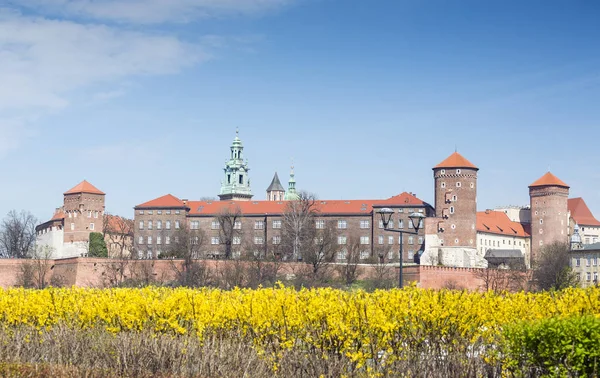 Castelo Wawel Com Flores Amarelas Primeiro Plano Durante Primavera Cracóvia — Fotografia de Stock