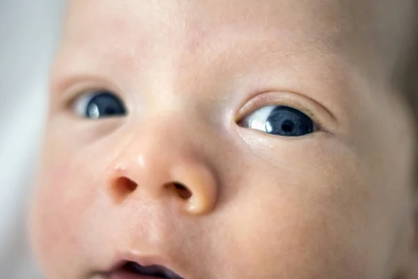 Primer Plano Del Ojo Azul Izquierdo Del Bebé Recién Nacido — Foto de Stock