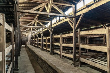 Ahşap ranza yatak barrack Auschwitz - Birkenau toplama kampı, Polonya