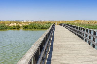 Praia dos Salgados Doğa Rezervi, Algarve, Portekiz 'den tahta köprü