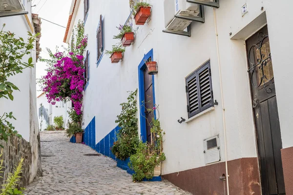 Nice treet decorated by flowers in Alcoutim, Algarve, Portugal — Φωτογραφία Αρχείου