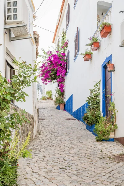 Nice treet decorated by flowers in Alcoutim, Algarve, Portugal — Φωτογραφία Αρχείου