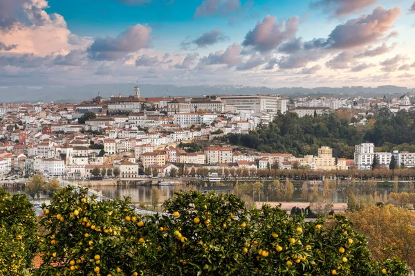 Beautiful Cityscape Historic Coimbra Garden Foreground Portugal — Stock Photo, Image