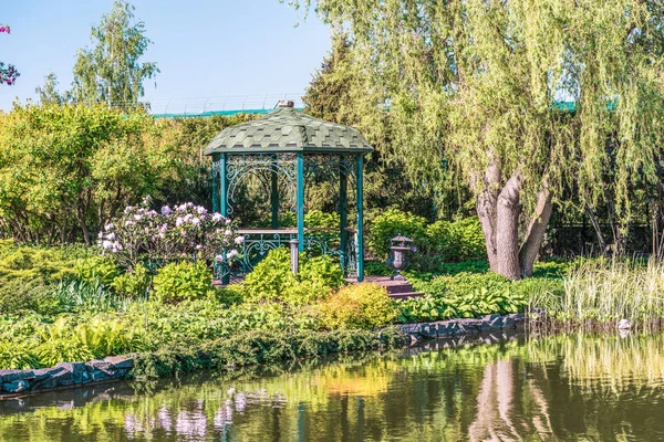 Fragment Beautiful Place Relax Lake Mezhyrrya Park Kiev Background Flowering — Stock Photo, Image