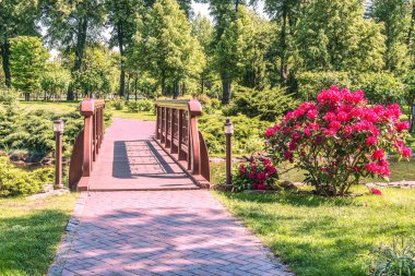 Küçük bir köprüden diğer tarafa Mezhigirya Park Kiev yakınındaki gölde. Ormangülü, göl ve sahilde güzel bitki örtüsü bir parça çiçekli çalı.