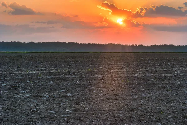 キエフ ウクライナに近い分野を収穫後耕されます 早朝にフィールドを覆う霧 夜明けの明るい色の田園風景 — ストック写真