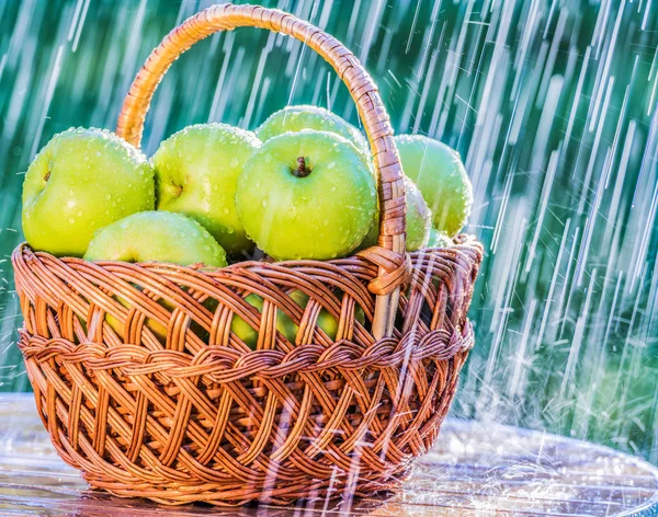Green Apples Table Garden Summer Rain — Stock Photo, Image