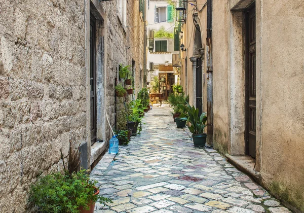 Una Calle Del Casco Antiguo Kotor Parte Antigua Kotor Patrimonio — Foto de Stock