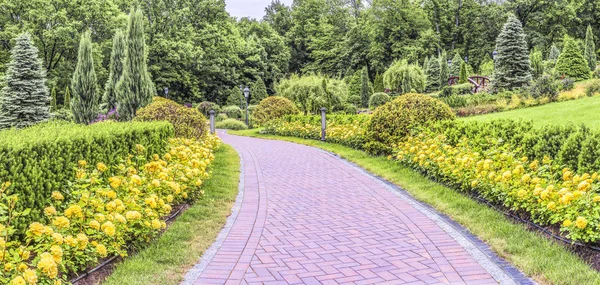 Fragmento Hermoso Parque Camino Con Rosas Amarillas Tracto Mezhigirye Cerca —  Fotos de Stock