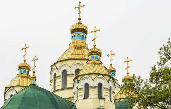 Vue Des Dômes Église Sainte Résurrection Centre Rivne Sur Site — Photo