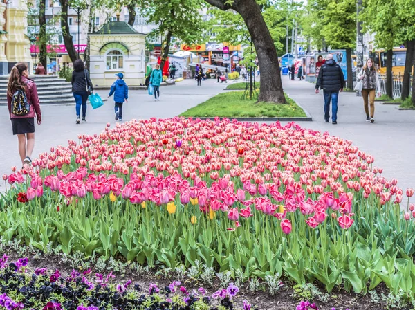 Rivne Ukraine Mai 2019 Fragment Der Domstraße Der Innenstadt — Stockfoto