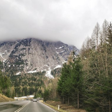 Ön planda barok bir veba direği var. Sütun 1750 yılında Slovakya'da Nitra Kalesi'nin altına kurulmuştur. Arka planda Nitran Kalesi'nin merkezi binası - Bazilika.