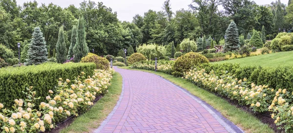 Panorama Hermoso Parque Senderos Con Rosas Amarillas Mezhyhirya Cerca Kiev —  Fotos de Stock