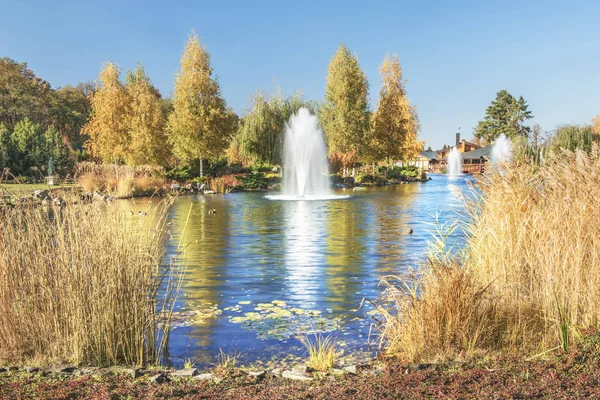 Fragment Park Mezhyhiria Kiev Fountains Lake Scenery Nature Sunlight — Stock Photo, Image