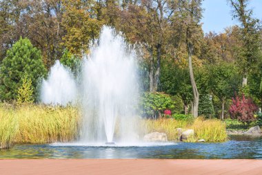 Kiev yakınlarındaki Mezhyhiria 'daki parkın bir parçası, göldeki çeşmeler. Güneş ışığıyla doğanın manzarası.