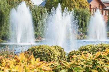 Kiev, Ukrayna yakınlarındaki Mezhyhirya 'daki sonbahar parkının bir parçası, göldeki çeşmeler. Güneş ışığıyla doğanın manzarası.