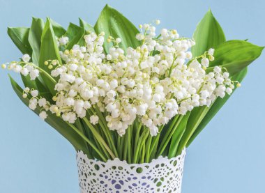 Büyük bir buket nilüfer çiçeği (Convallaria majalis), mavi arkaplanda vazoda küçük beyaz çanlar..