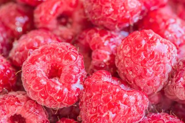 Yağmur damlalarındaki taze toplanmış ahududuların arka planı