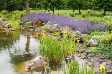 Ukrayna 'nın Kyiv kenti yakınlarındaki Mezhigirje Milli Parkı' ndaki parkın bir parçası. Fotoğrafta güzel ağaçlar ve çalılar görüyoruz, gölün bir parçası, kuşlar ve çiçekler..