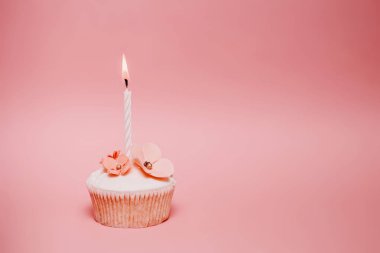 pembe doğumgünü keki bir mum