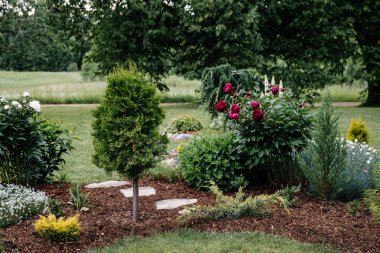 Güzel bir flowerbed yakın çekim. Bahçe detay.