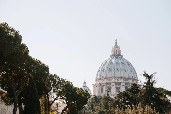 Blick Auf Die Basilika Des Heiligen Petrus Vatikan — Stockfoto