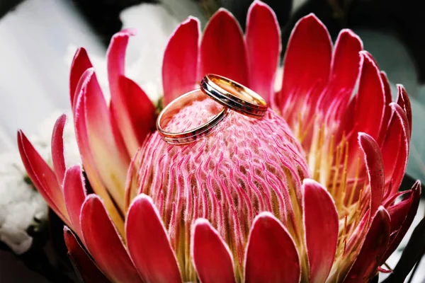 Wedding rings placed in the center of flower. Upper view.