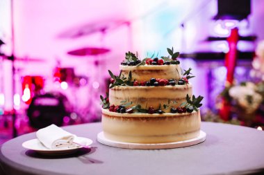 Böğürtlen ve yapraklarla süslenmiş beyaz düğün pastası. Mor ışıklar arkaplanı.