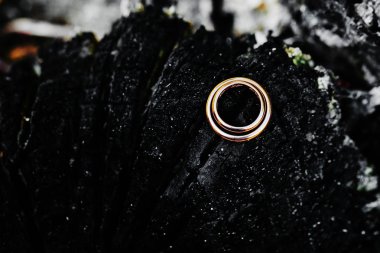 Doğal yanmış ahşap üzerine yerleştirilen iki alyans. 