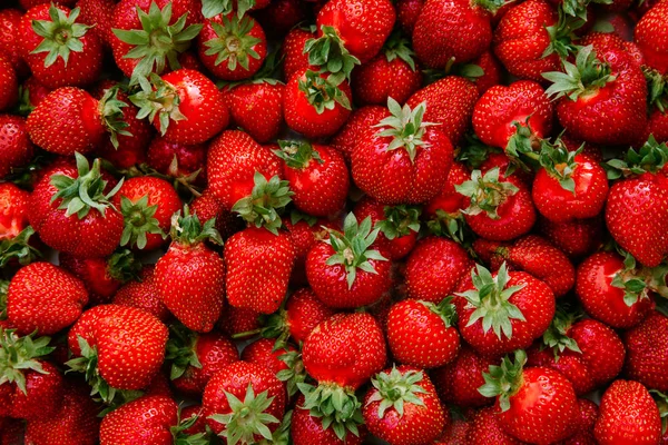 Frische Reife Erdbeeren Nahtloser Erdbeerhintergrund — Stockfoto