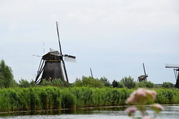 Unesco Világ Örökség Kinderdijk Hollandiában Holland Szélmalmok — Stock Fotó