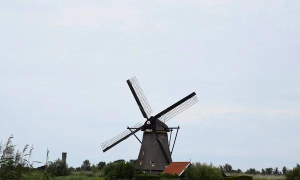 Unesco Dünya Mirası Doğal Hollanda Hollanda Yel Değirmenleri — Stok fotoğraf