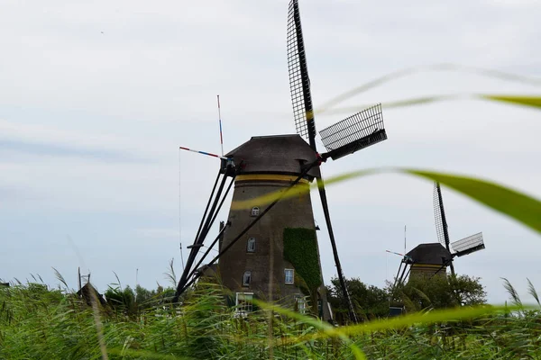 Holenderskie Wiatraki Kinderdijk Dziedzictwa Światowego Unesco Holandii — Zdjęcie stockowe