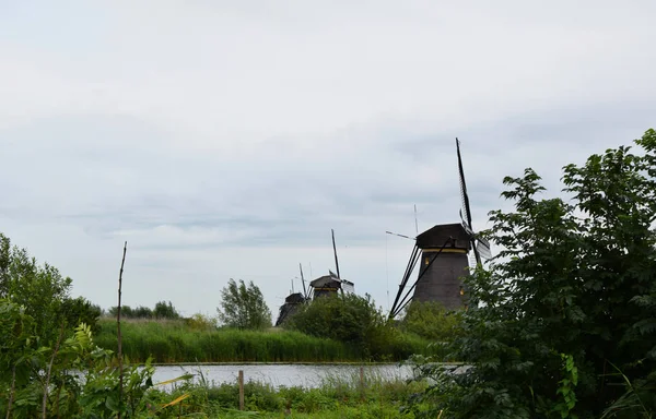 Nederlandse Molens Van Unesco World Heritage Kinderdijk Nederland — Stockfoto