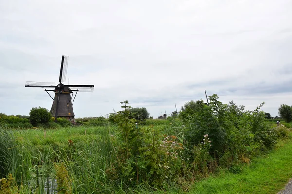 Unesco Világ Örökség Kinderdijk Hollandiában Holland Szélmalmok — Stock Fotó