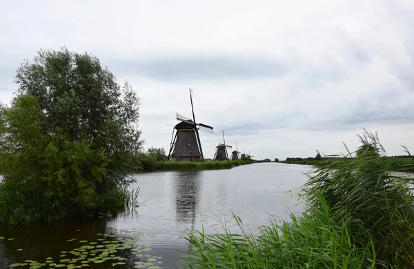 Holenderskie Wiatraki Kinderdijk Dziedzictwa Światowego Unesco Holandii — Zdjęcie stockowe