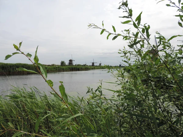 Molinos Viento Holandeses Del Kinderdijk Patrimonio Humanidad Por Unesco Los — Foto de Stock
