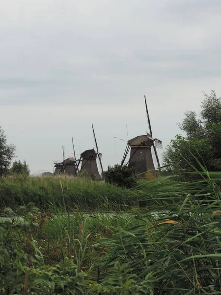 Unesco Világ Örökség Kinderdijk Hollandiában Holland Szélmalmok — Stock Fotó