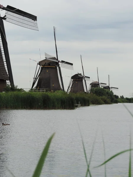 Голландська Вітряками Юнеско Світової Спадщини Кіндердайк Нідерландах — стокове фото