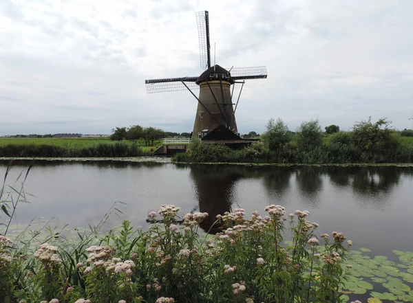 Unesco Világ Örökség Kinderdijk Hollandiában Holland Szélmalmok — Stock Fotó