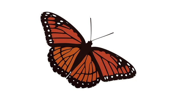 Оранжевий Крилатий Метелик Вектор Monarch Digital Design — стоковий вектор