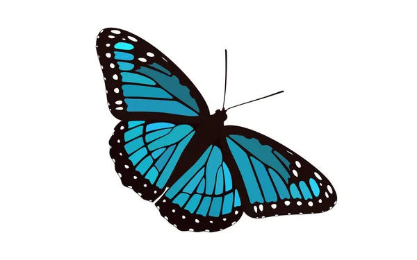 Синій Крилатий Метелик Вектор Monarch Digital Design — стоковий вектор